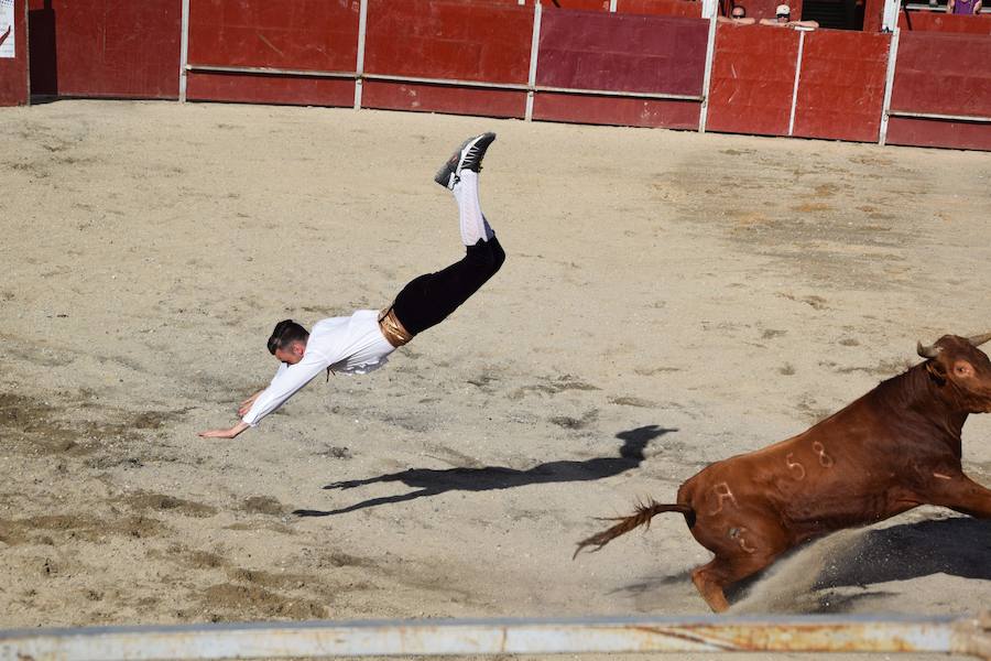 Fotos: Espectáculo de cortes en Guardo