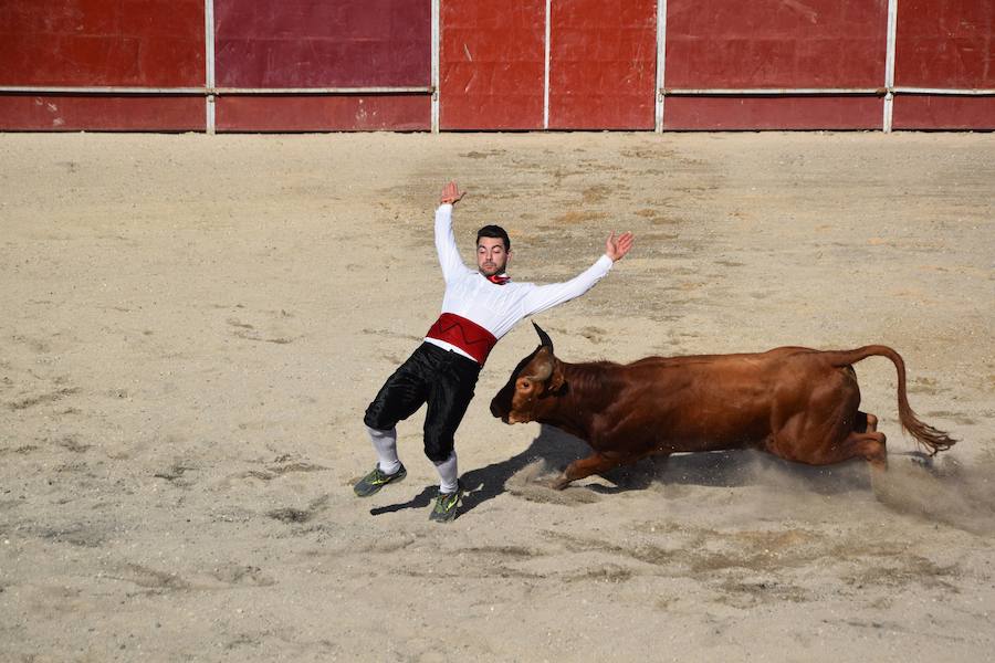 Fotos: Espectáculo de cortes en Guardo