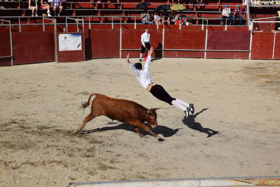 Fotos: Espectáculo de cortes en Guardo