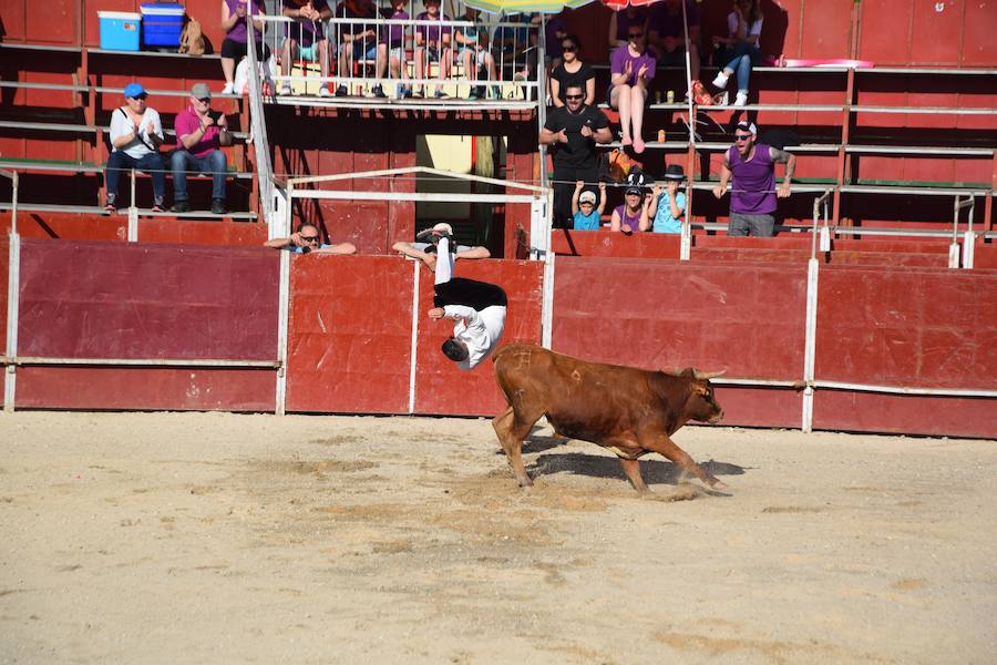 Fotos: Espectáculo de cortes en Guardo