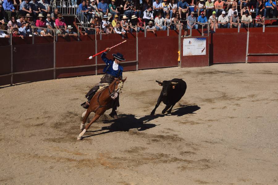 Fotos: Accidentada corrida de toros en las fiestas de Guardo