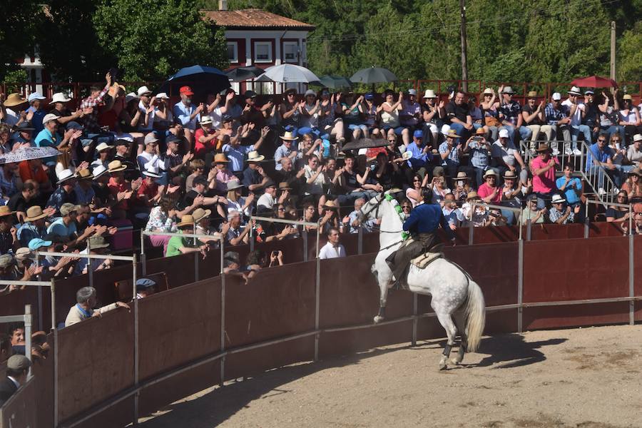 Fotos: Accidentada corrida de toros en las fiestas de Guardo