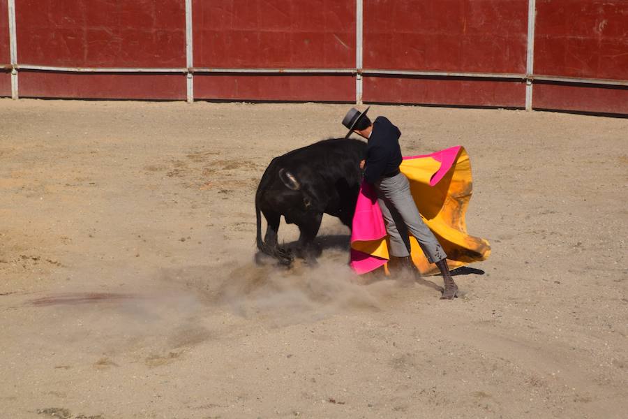 Fotos: Accidentada corrida de toros en las fiestas de Guardo
