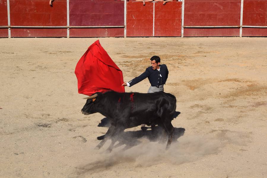 Fotos: Accidentada corrida de toros en las fiestas de Guardo