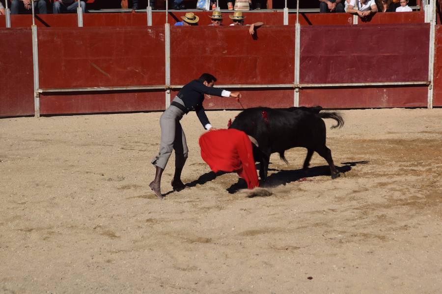 Fotos: Accidentada corrida de toros en las fiestas de Guardo