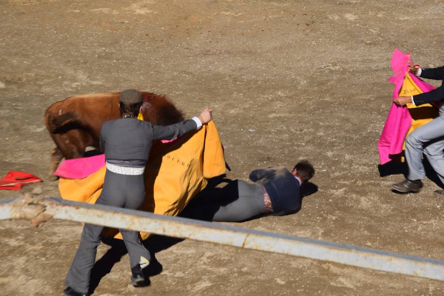 Fotos: Accidentada corrida de toros en las fiestas de Guardo