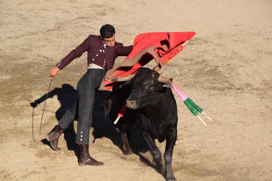 Fotos: Accidentada corrida de toros en las fiestas de Guardo