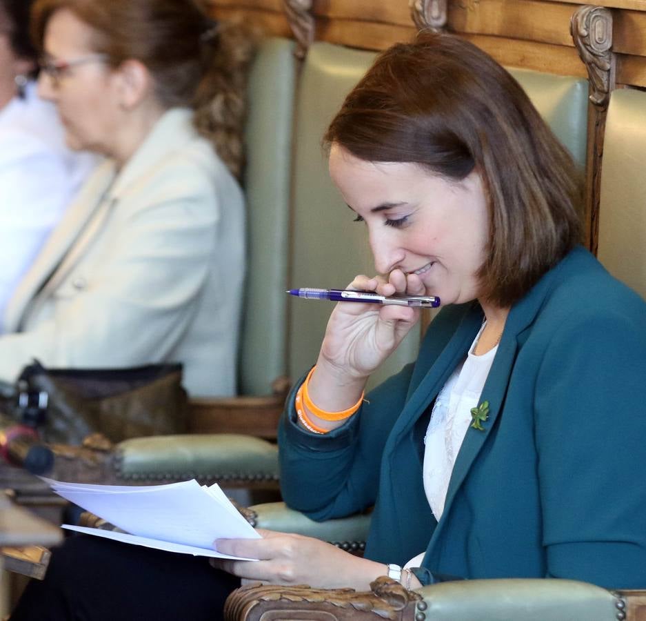 Fotos: Pleno en el Ayuntamiento de Valladolid
