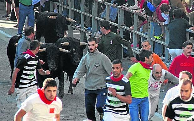 Encierro por las calles de Cuéllar, el año pasado. 
