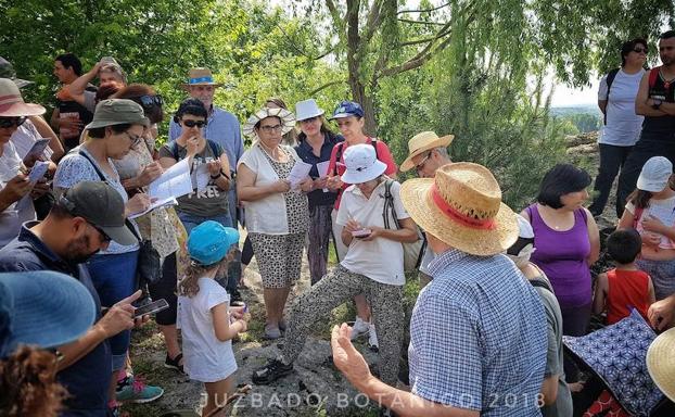 Numerosas personas participaron ayer en el paseo para localizar plantas comestibles y medicinales. 