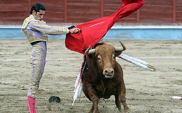 Talavante da un pase con su muleta a uno de los toros de su lote en et festejo celebrado este sábado en Segovia. 