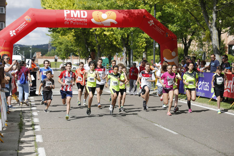 Fotos: XXIII Carrera Popular de la avda Madrid