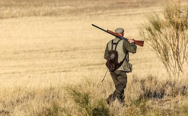 Solo los cazadores con licencia federativa podrán realizar controles de fauna
