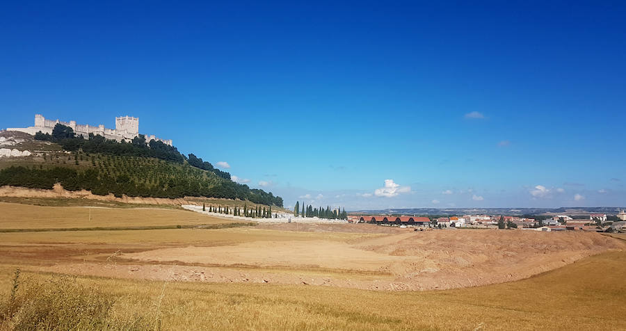 Ya han comenzado los primeros movimientos de tierra para construir la nueva bodega de Protos en Peñafiel. 