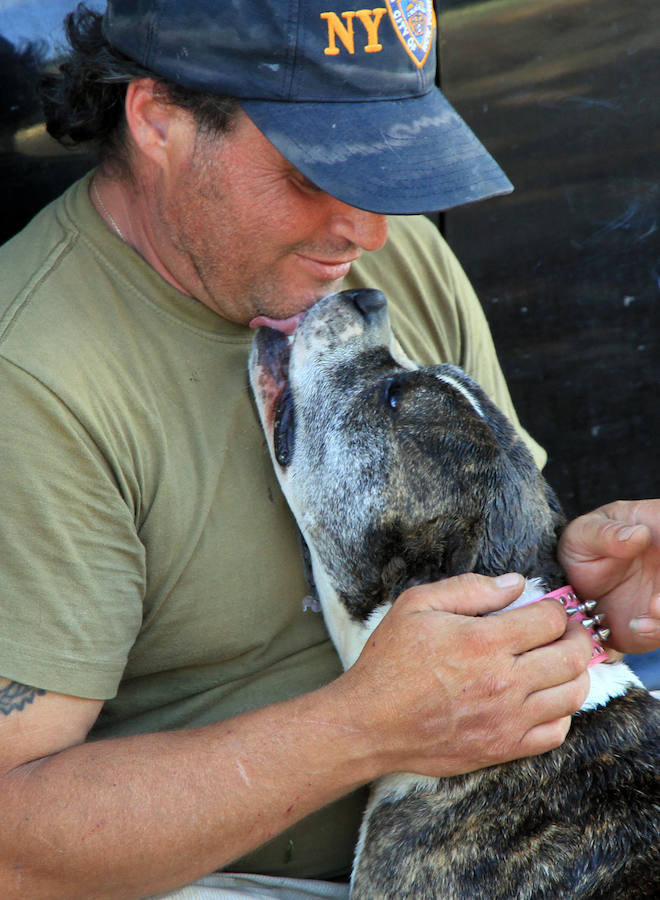 Fotos: La protectora Animalejos lanza un SOS