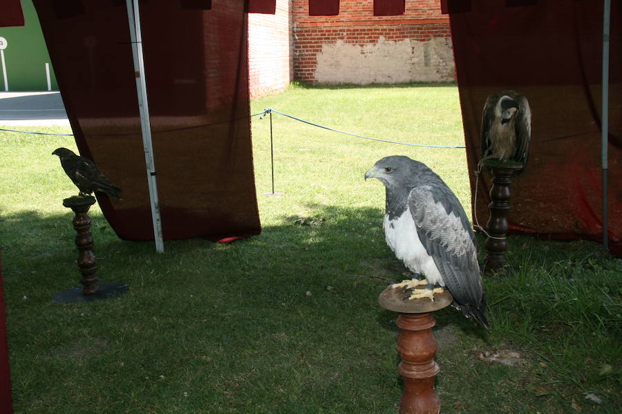 Fotos: Mercado Medieval de Sanchonuño