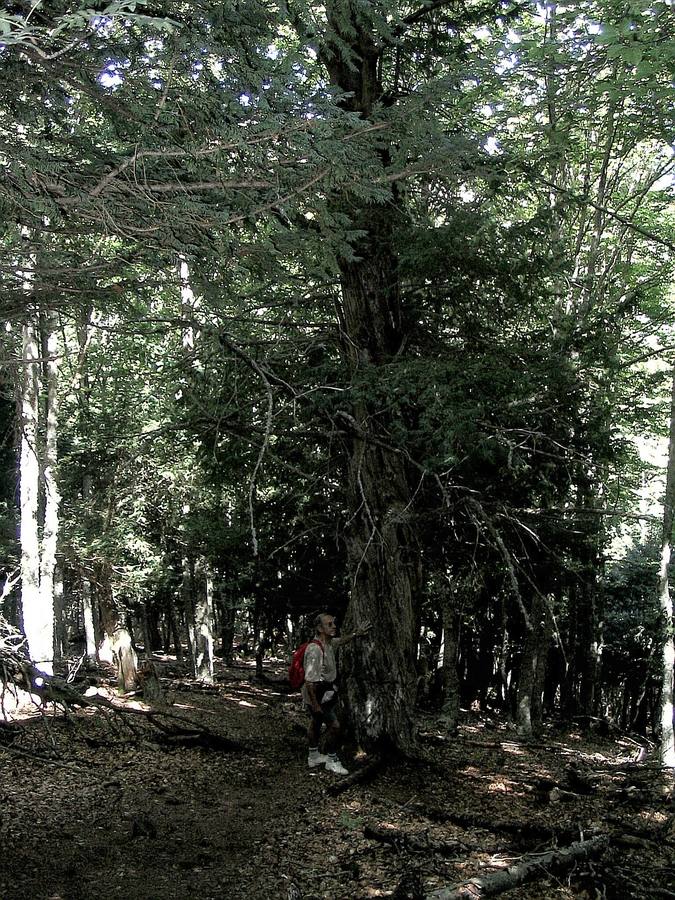 Parque Fuentes Carrionas.