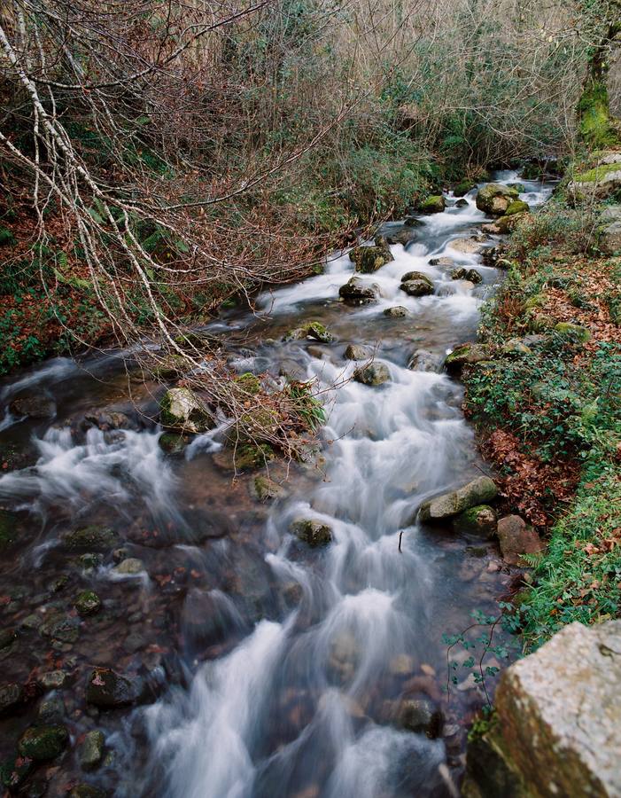 Parque Natural Saja-Besaya.