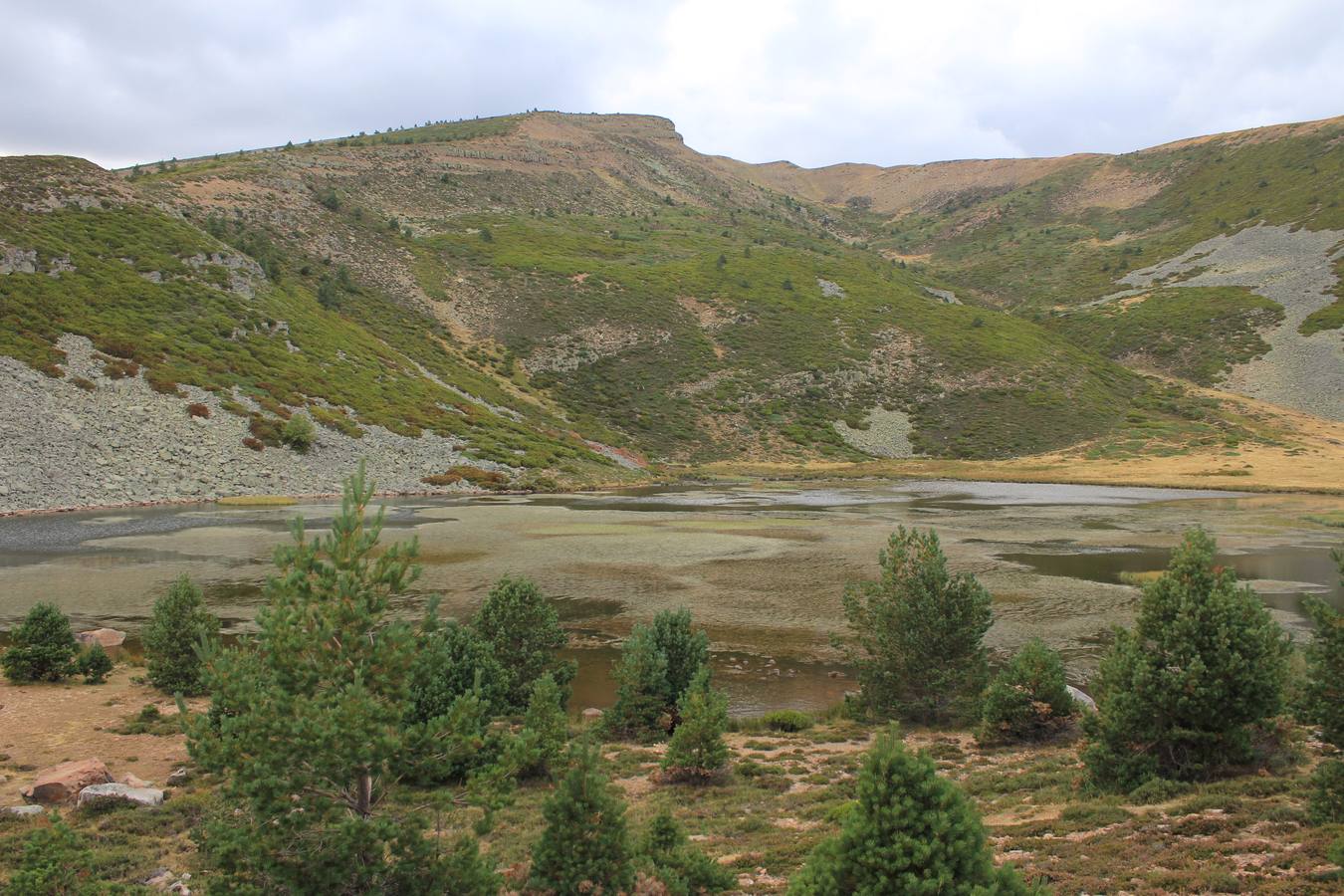 Parque Natural Sierra de Cebollera.