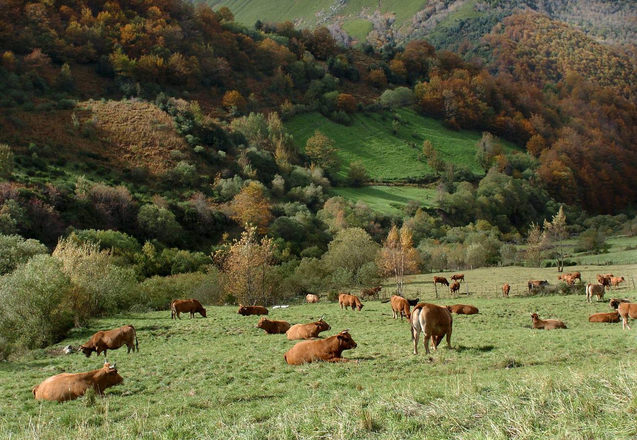 Parque Natural Somiedo.