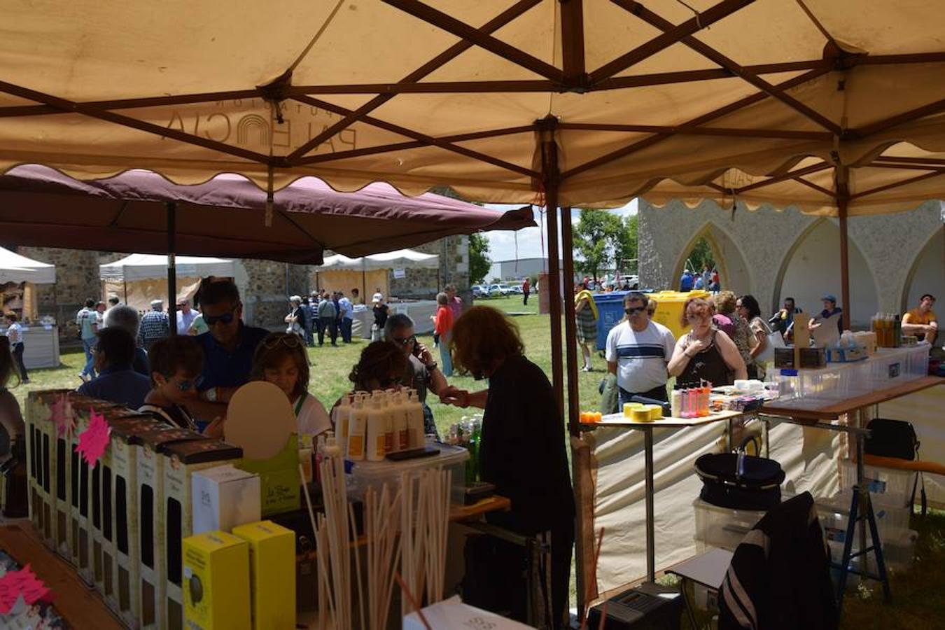 Fotos: Fiesta del Carmen en Guardo