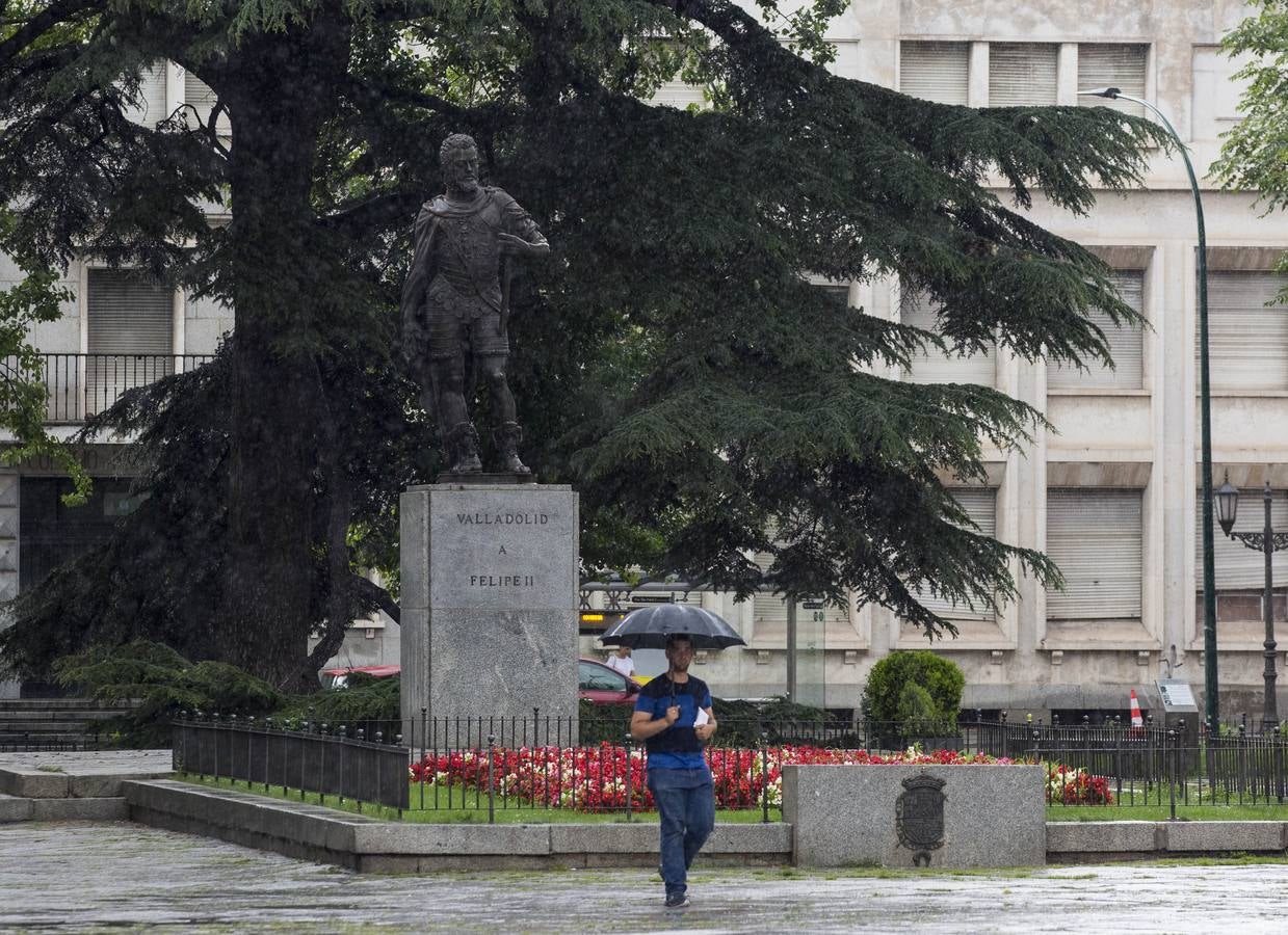 Fotos: Tormenta veraniega en Valladolid