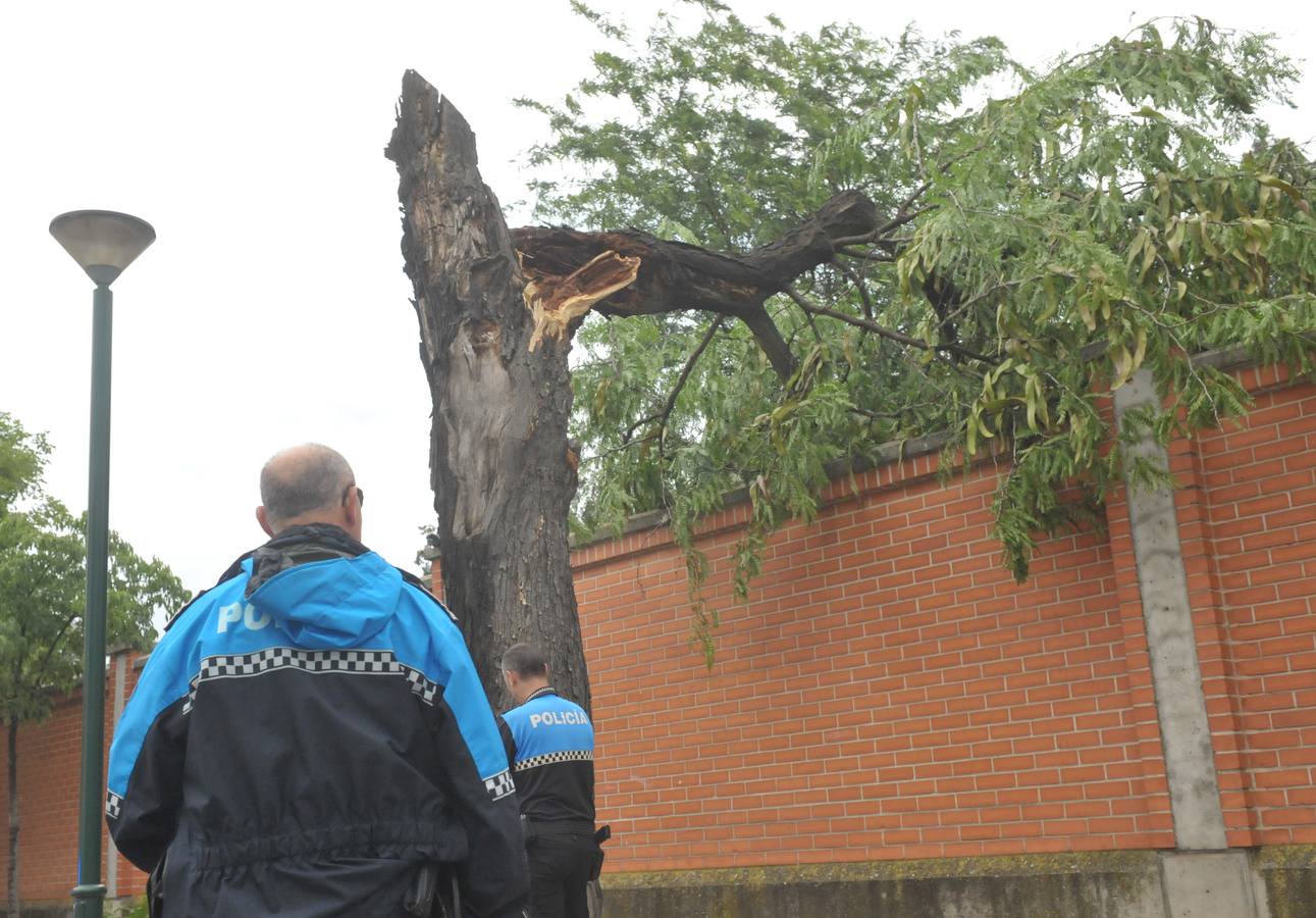 Fotos: Tormenta veraniega en Valladolid