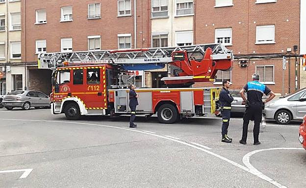 Los bomberos de Valladolid intervinieron en el rescate de un gato atrapado en la calle Salve Regina. 