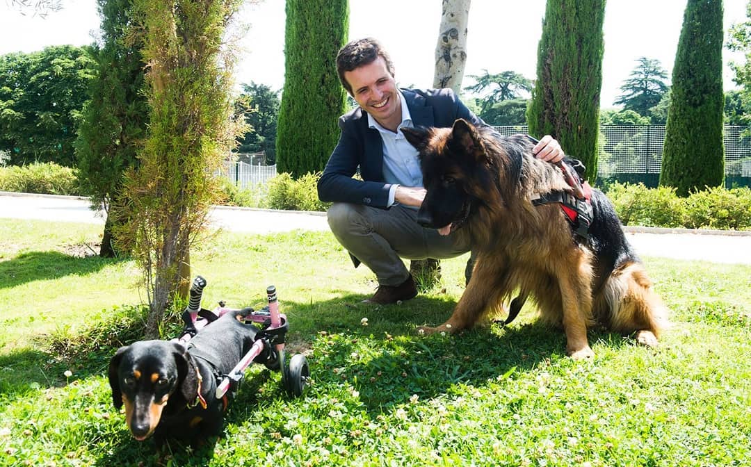 Esta mañana, tras el acto de homenaje a las víctimas, nos hemos encontrado con estos amigos en el Retiro.