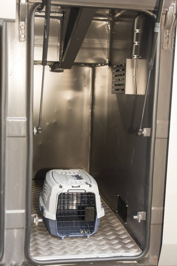 Fotos: Puesta de largo de los autobuses Avanza (1)