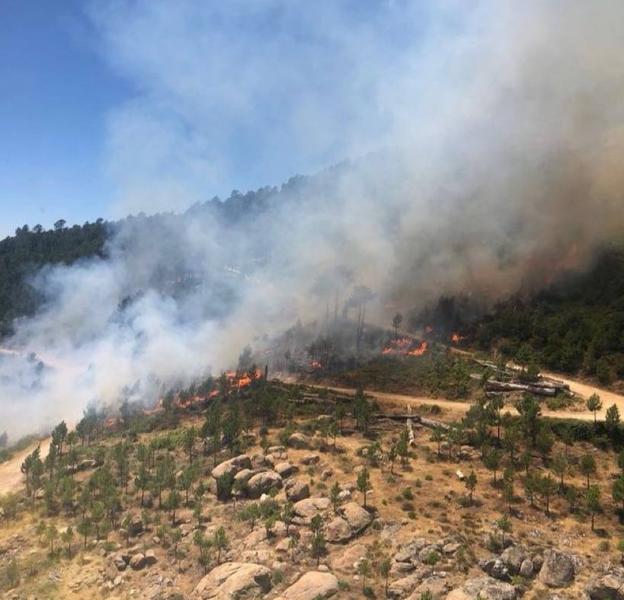 Incendio en Navaluengo.