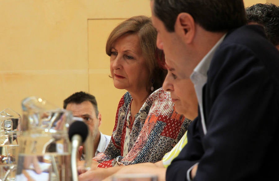 Fotos: Pleno del Ayuntamiento