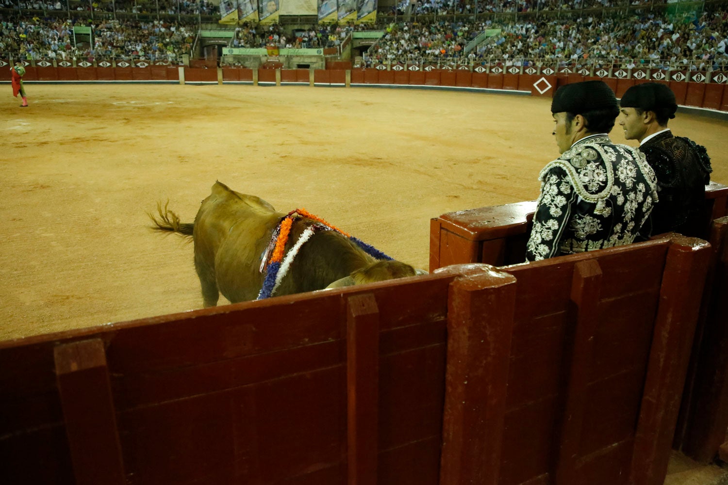 Una novillada con caballos, cuatro corridas de toros y una corrida de rejones mixta, que se celebrarán del 12 al 21 de septiembre