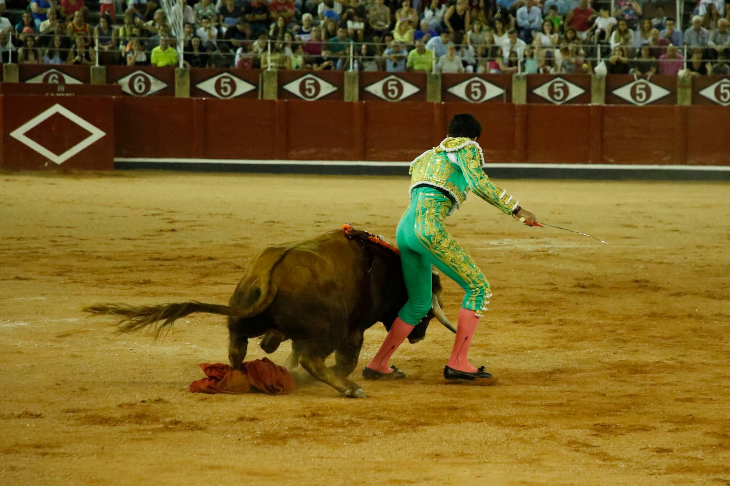 Una novillada con caballos, cuatro corridas de toros y una corrida de rejones mixta, que se celebrarán del 12 al 21 de septiembre