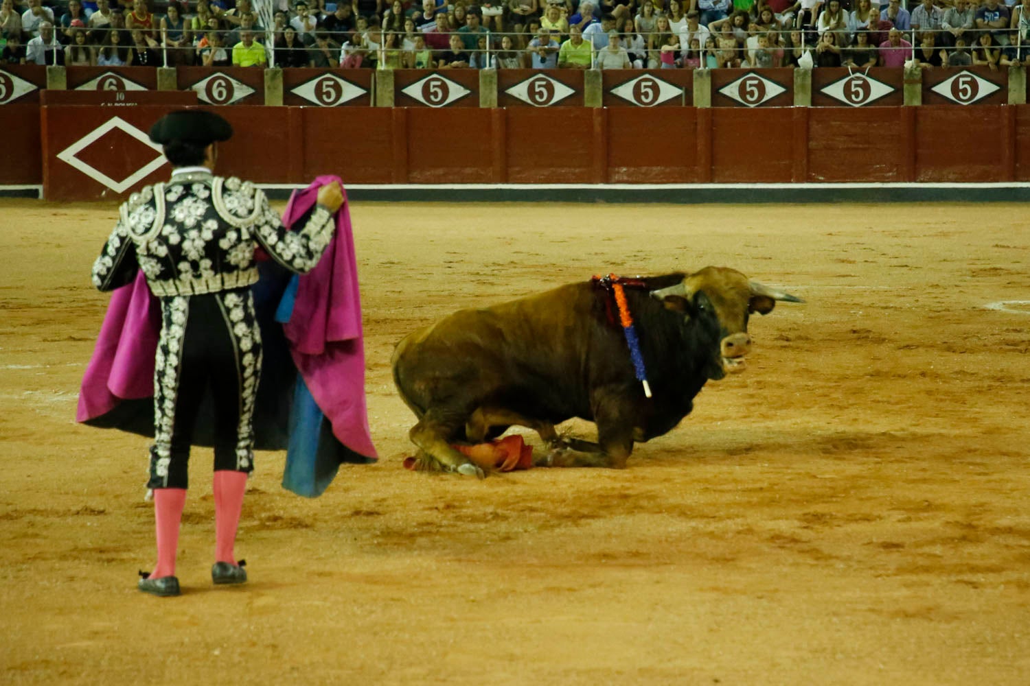 Una novillada con caballos, cuatro corridas de toros y una corrida de rejones mixta, que se celebrarán del 12 al 21 de septiembre