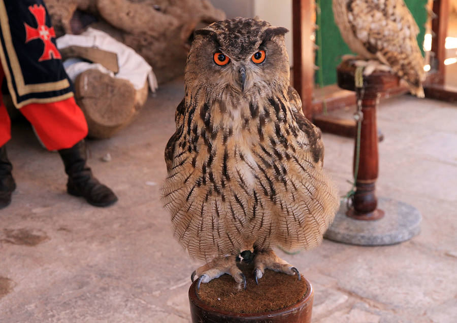 Fotos: Feria Medieval de Ayllón