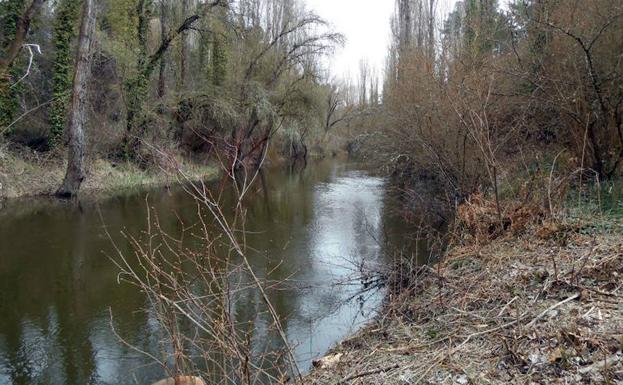 Un tramo del río Cega. 