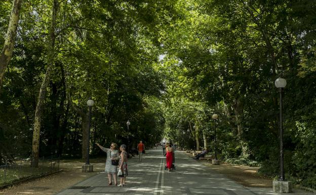 Paseo principal del Campo Grande de Valladolid. 