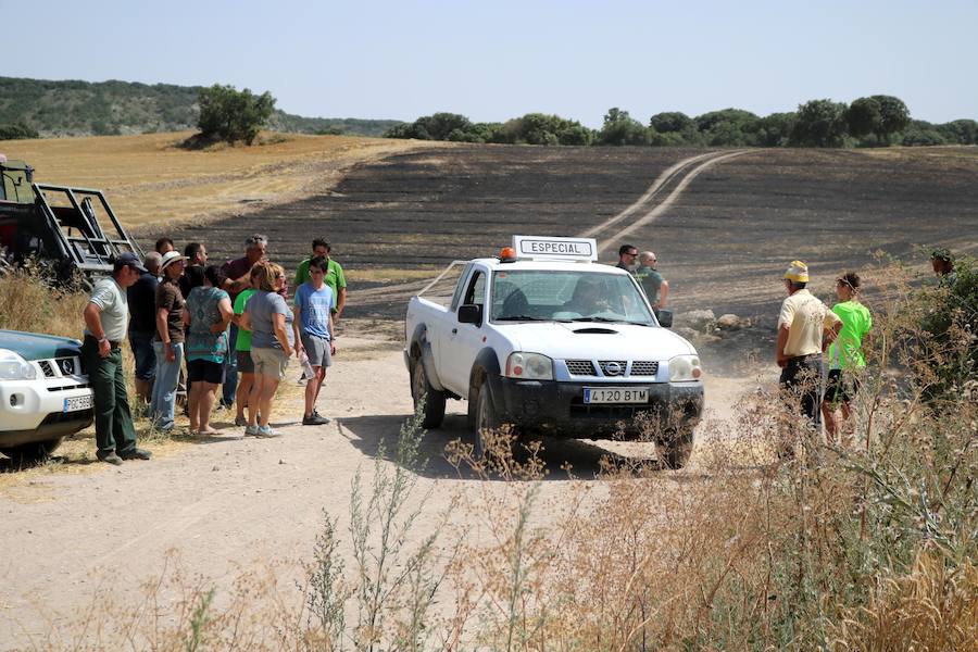 Fotos: Un incendio quema varias hectáreas de cereal y monte en Vertavillo