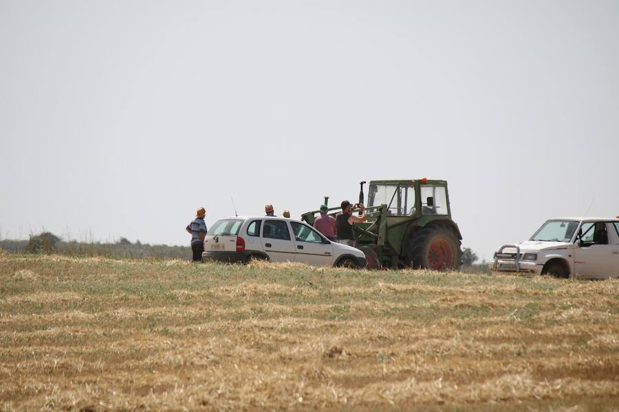 Fotos: Un incendio quema varias hectáreas de cereal y monte en Vertavillo