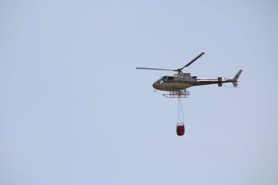 Fotos: Un incendio quema varias hectáreas de cereal y monte en Vertavillo