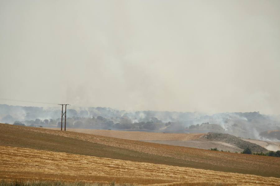 Fotos: Un incendio quema varias hectáreas de cereal y monte en Vertavillo