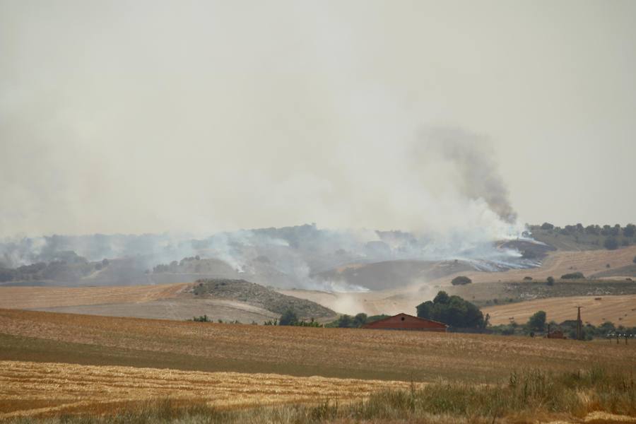 Fotos: Un incendio quema varias hectáreas de cereal y monte en Vertavillo