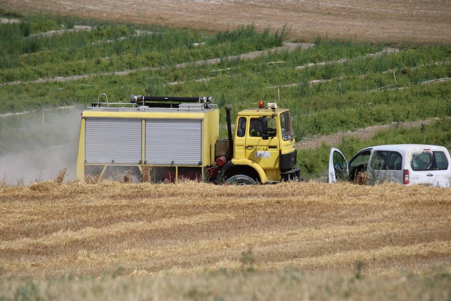 Fotos: Un incendio quema varias hectáreas de cereal y monte en Vertavillo