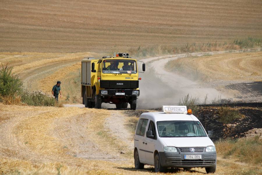 Fotos: Un incendio quema varias hectáreas de cereal y monte en Vertavillo