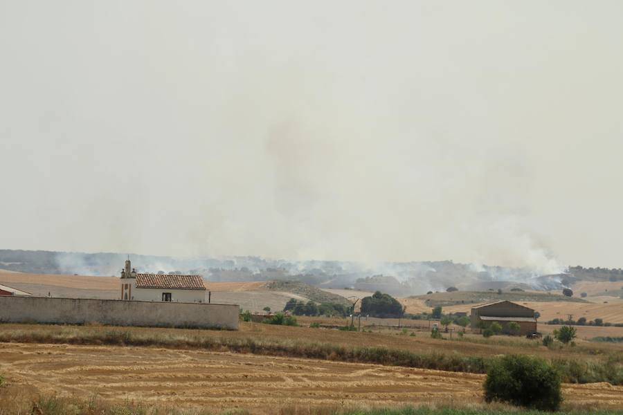 Fotos: Un incendio quema varias hectáreas de cereal y monte en Vertavillo
