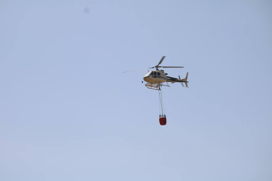 Fotos: Un incendio quema varias hectáreas de cereal y monte en Vertavillo