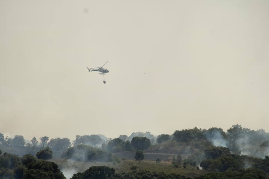 Fotos: Un incendio quema varias hectáreas de cereal y monte en Vertavillo