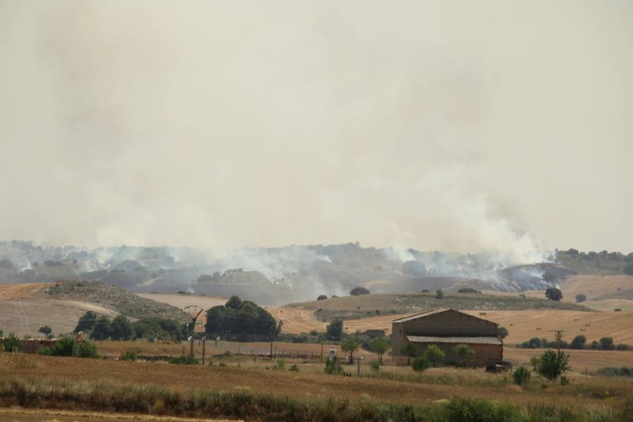Fotos: Un incendio quema varias hectáreas de cereal y monte en Vertavillo