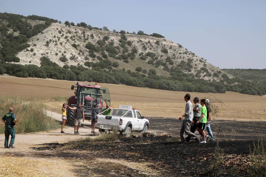 Fotos: Un incendio quema varias hectáreas de cereal y monte en Vertavillo
